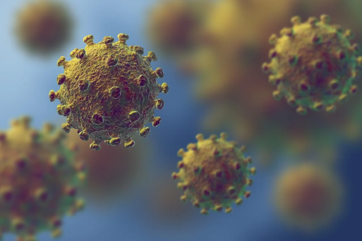 Coronavirus - 182'500 Menschen infiziert - 79'500 genesen