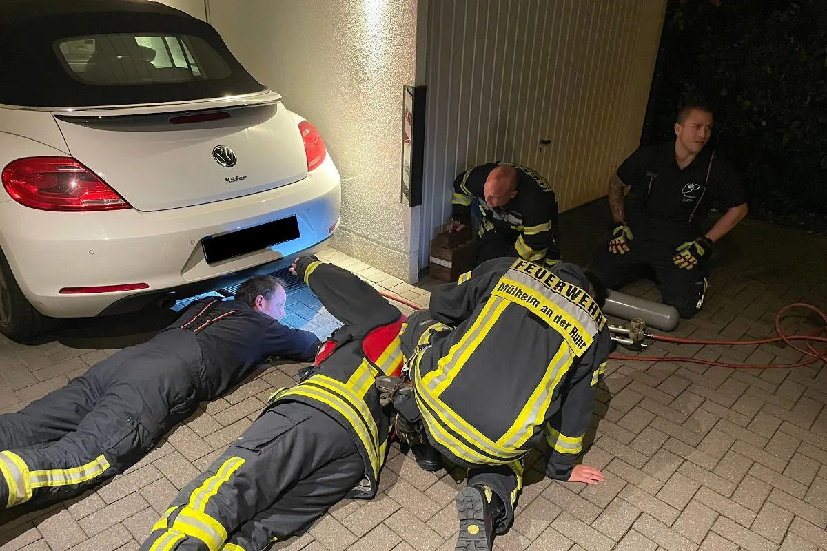 Mülheim an der Ruhr – Feuerwehr befreit Reh aus Notlage