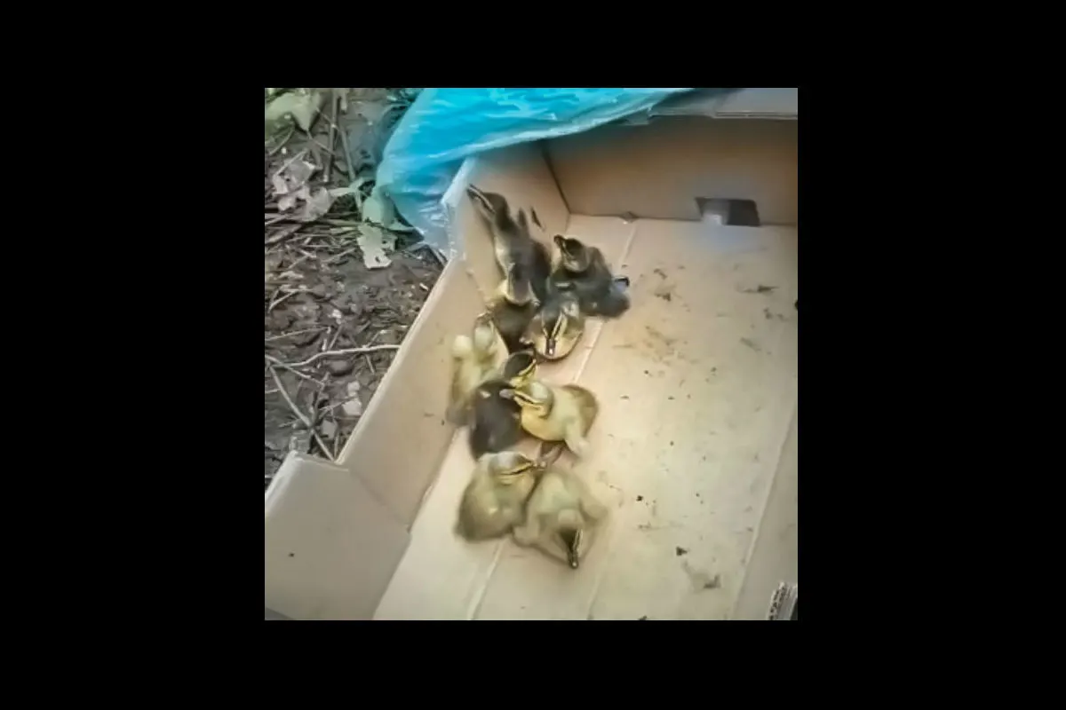 Polizei unterstützt tierische Familienzusammenführung
