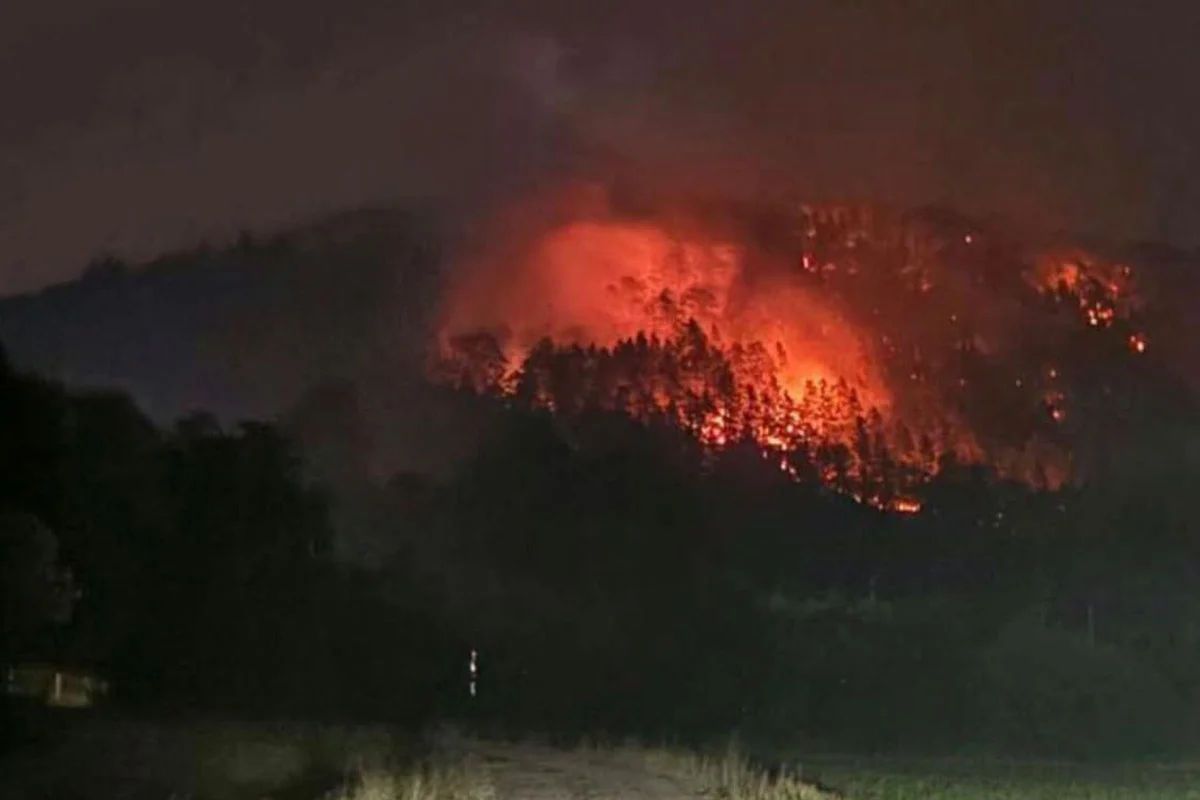 Ein nächtlicher Waldbrand mit intensiven Flammen auf einem bewaldeten Hügel. Der Himmel ist dunkel, während das Feuer den Wald erhellt.