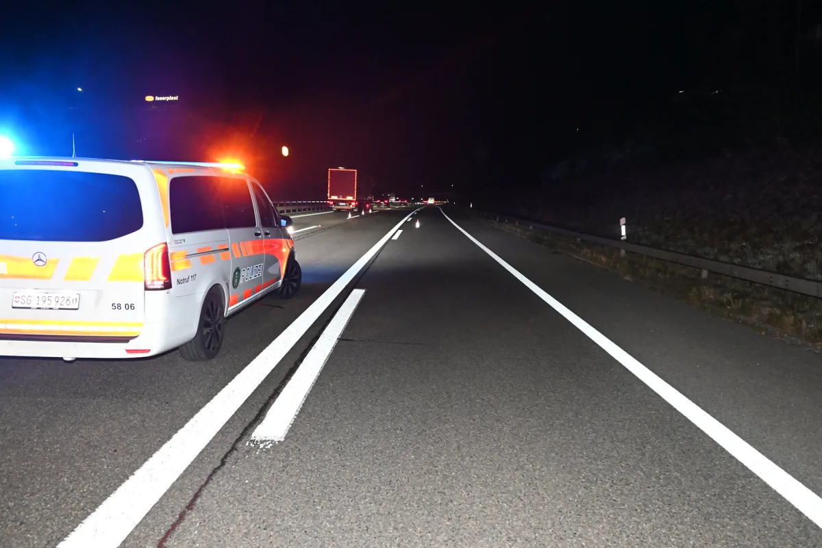 Ein Polizeifahrzeug mit eingeschaltetem Blaulicht steht auf einer nächtlichen, unbeleuchteten Autobahn. Die Sicht auf die Fahrbahn zeigt kein weiteres Verkehrsgeschehen.