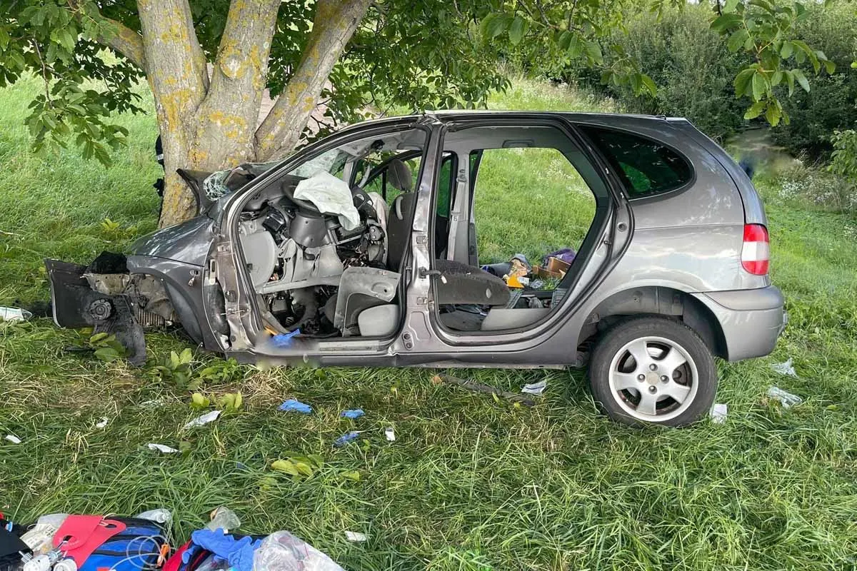 Mörbisch - 28-jährige Fahrzeuglenker kracht gegen Baum