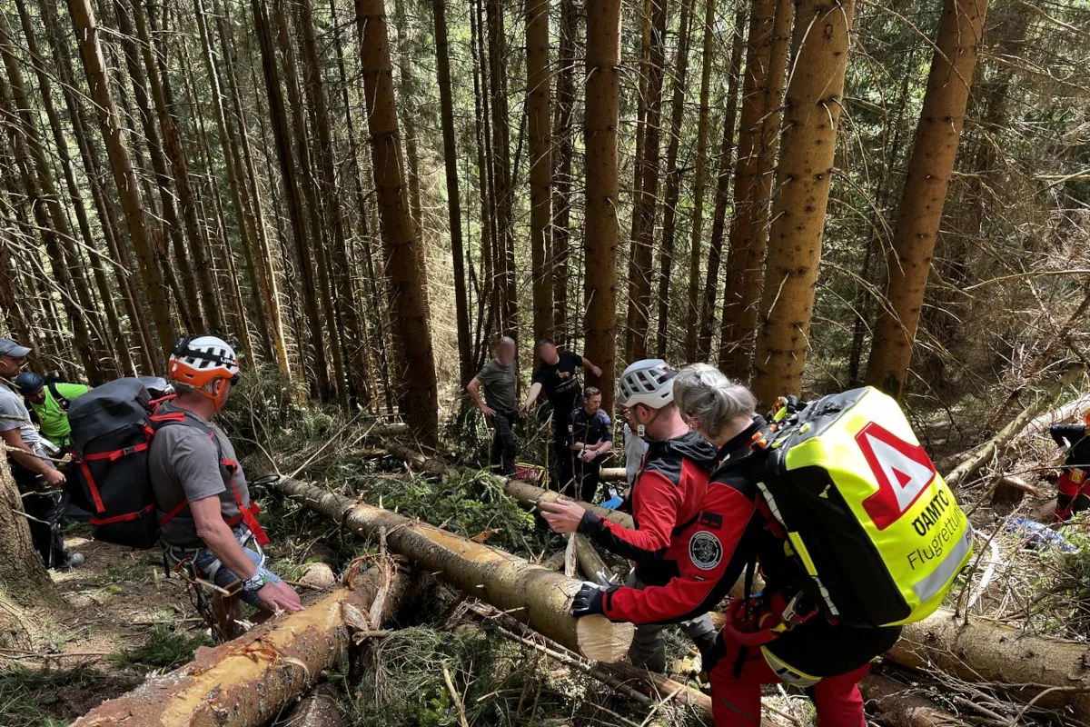 Mehrere Rettungskräfte im Wald, tragen Schutzkleidung und Helme. Sie navigieren über umgestürzte Bäume.