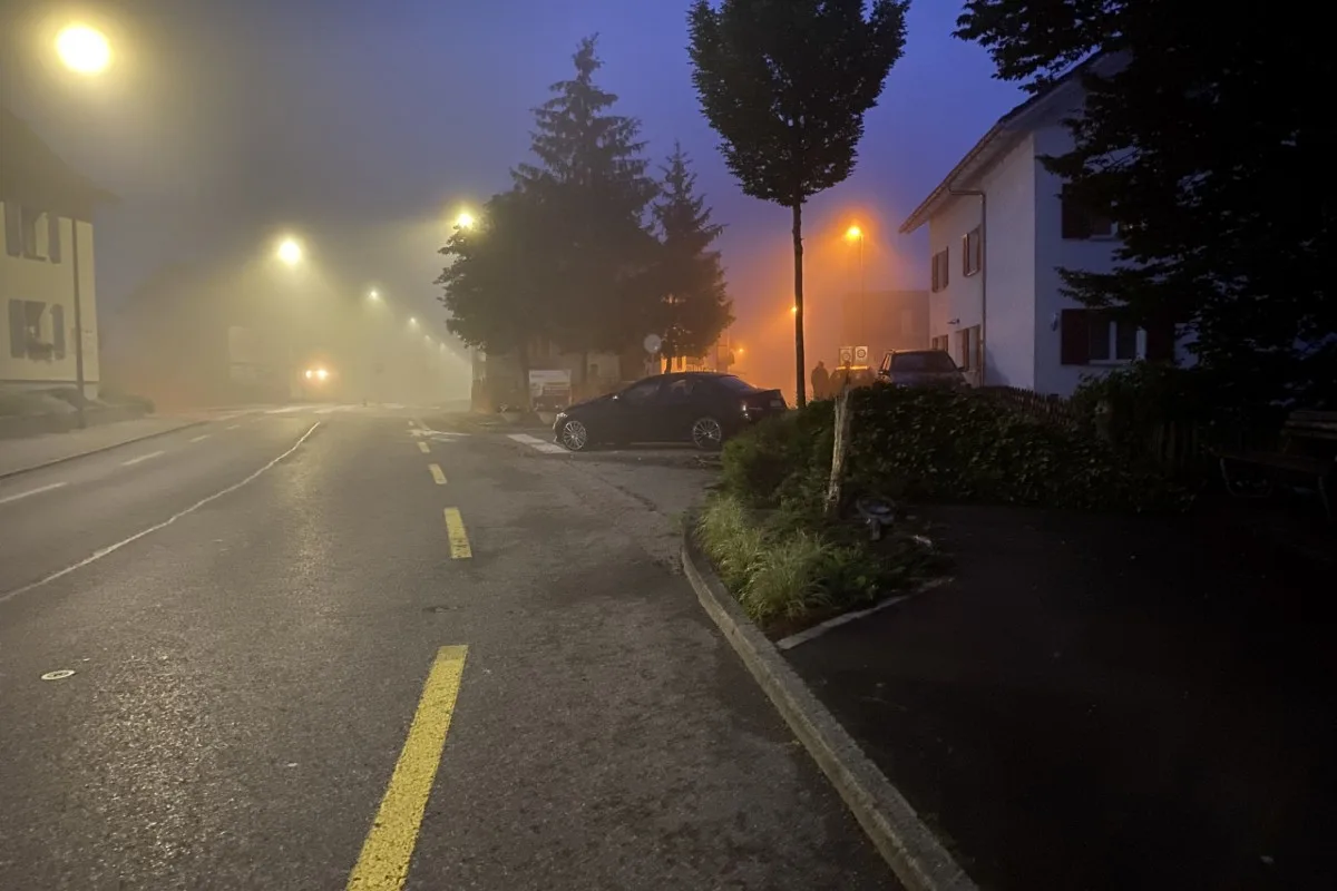 Wohlen AG - 21-Jähriger fährt mit Mercedes in Baum - Sekundenschlaf wohl der Grund