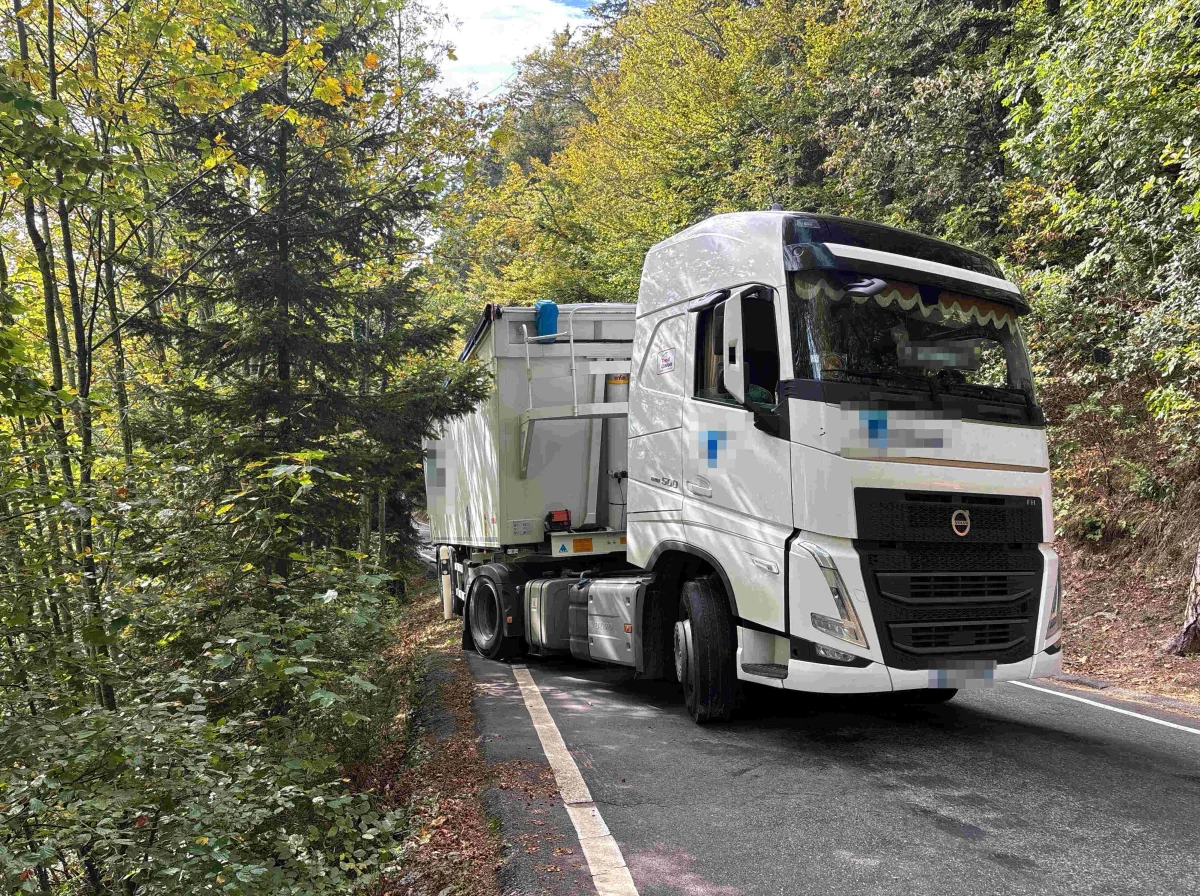 Ein weißer Lastwagen parkt am Straßenrand einer asphaltierten, von Bäumen umgebenen Straße. Es scheint Herbst zu sein, da das Laub teils verfärbte Blätter hat.