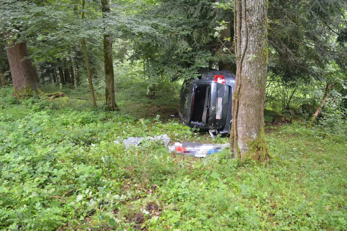 Seewen SO - Auto kollidiert mit mehreren Bäumen