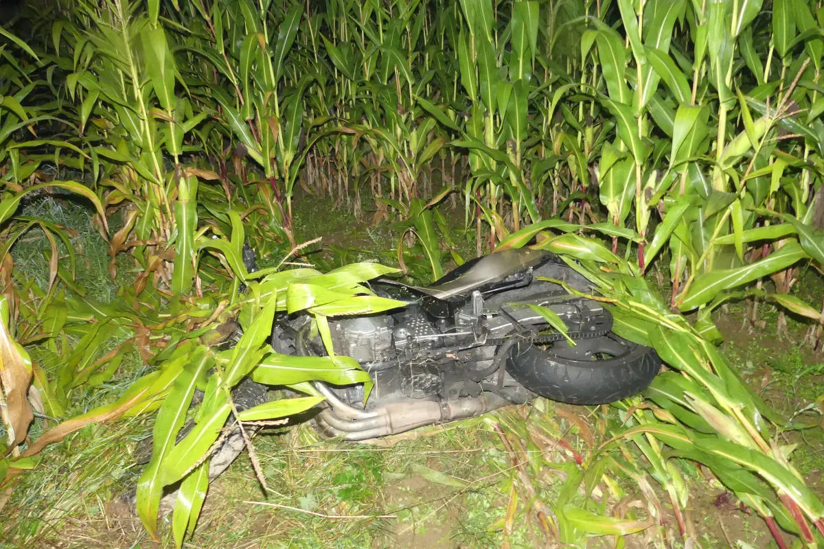 Radevormwald – Schwelmer landete schwer verletzt im Maisfeld