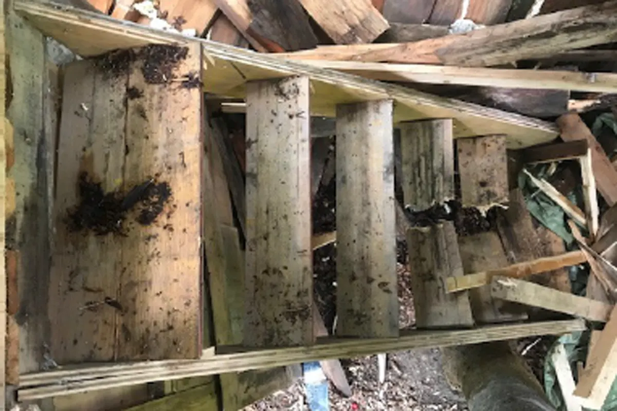 Vandalismus in Au-Rehmen - Jugendliche nach Sachbeschädigung gesucht!
