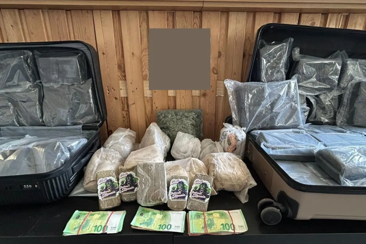 Wien und Wiener Neustadt – Zwei Drogendealer festgenommen