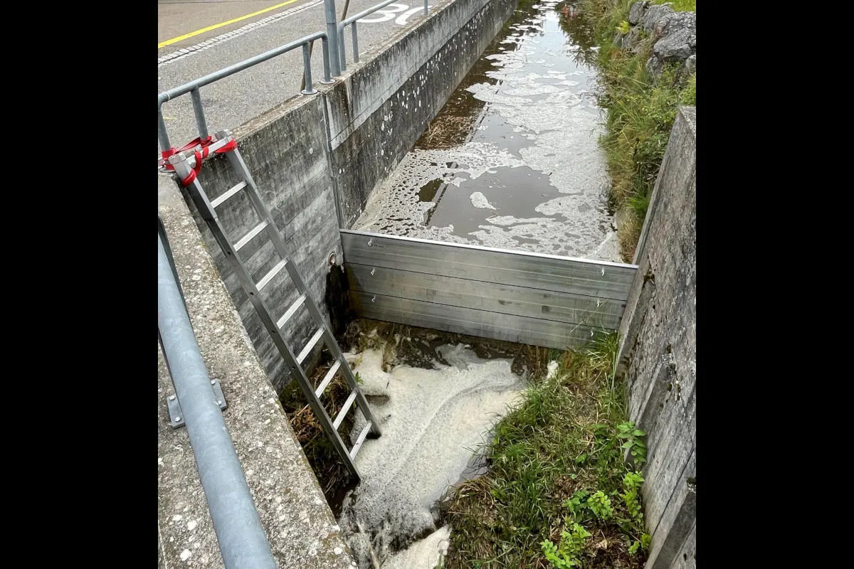 Steckborn TG – Viele Fische nach Gewässerverunreinigung verendet