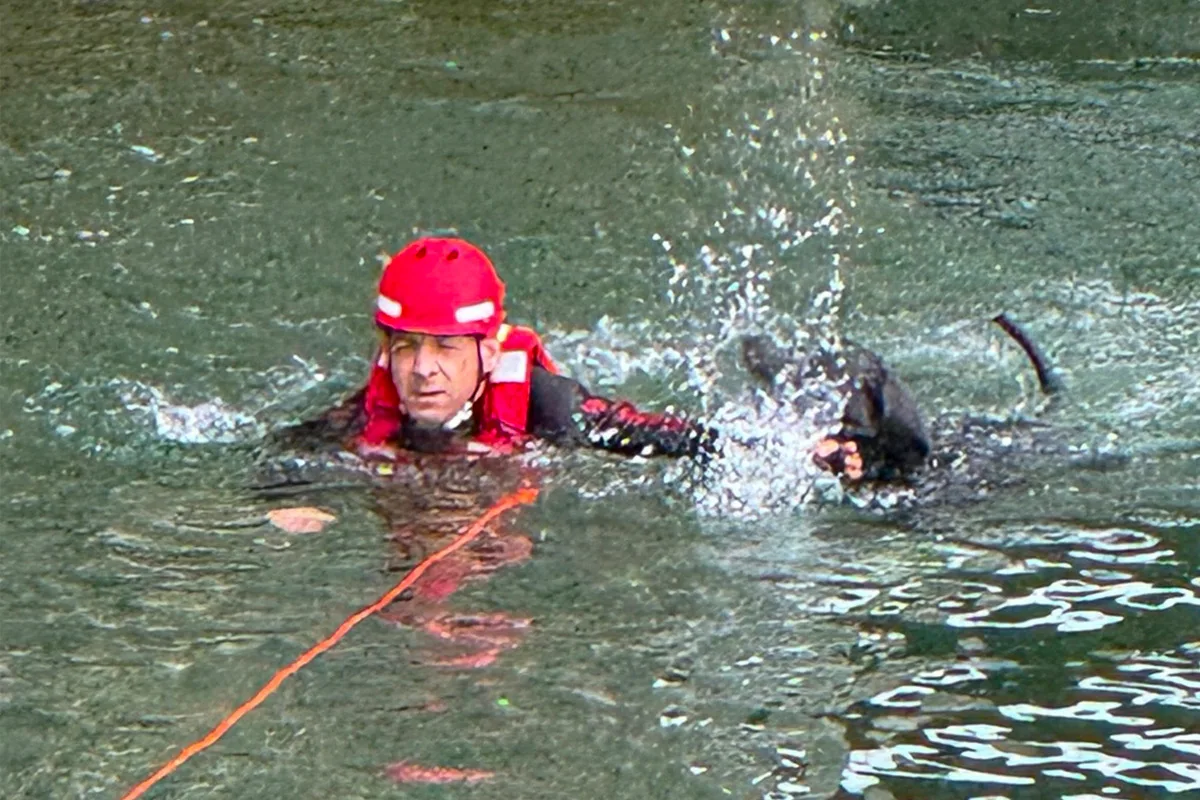 München – Feuerwehr rettet Hund aus der Isar