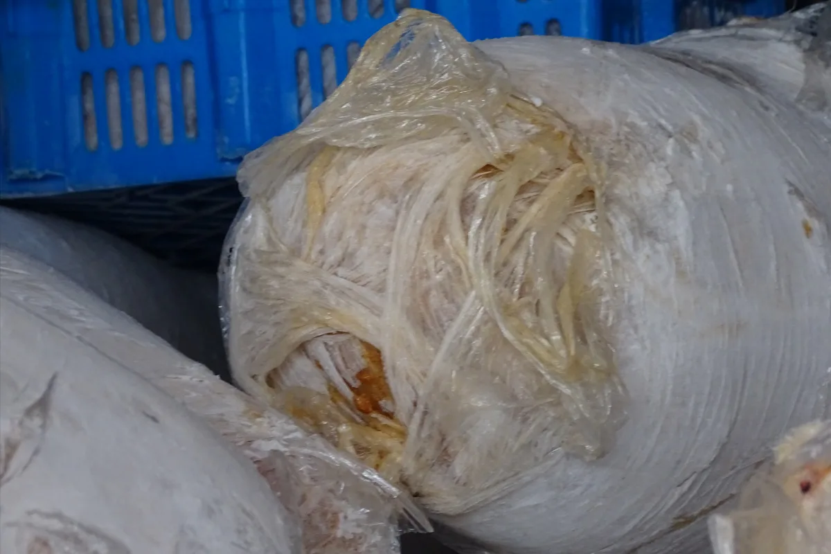 Ratzeburg SH – Ungekühlten und verdorbenen Fleischtransport gestoppt