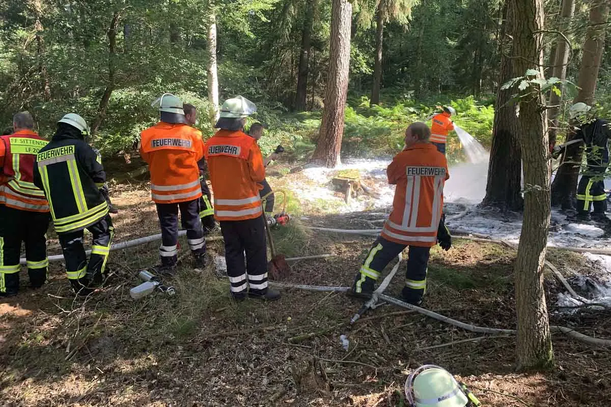 Groß Meckelsen - Waldbrand endet glimpflich - Hohe Waldbrandgefahr im Landkreis