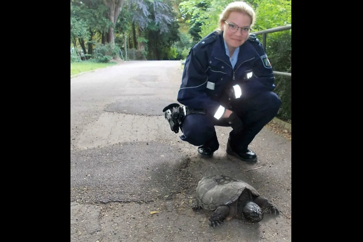 Schildkröte sorgt für Aufsehen