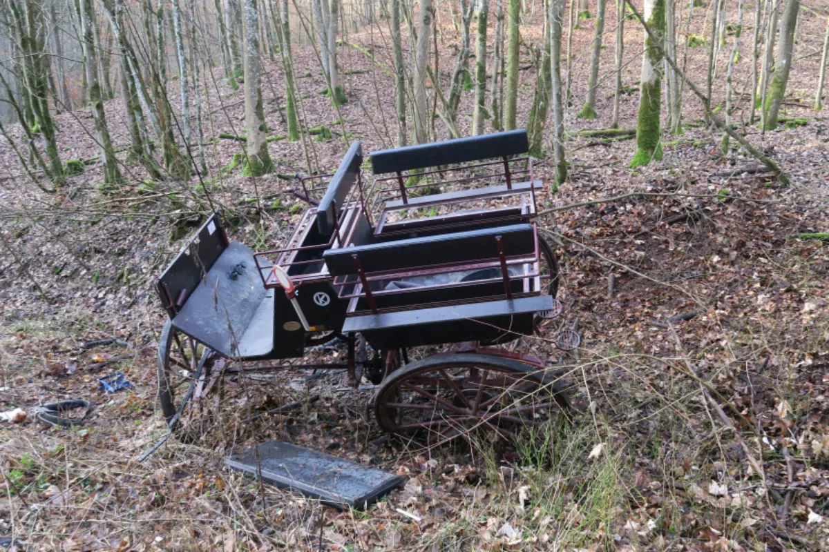 Dillenburg - Junge Frauen verunglücken mit Kutsche
