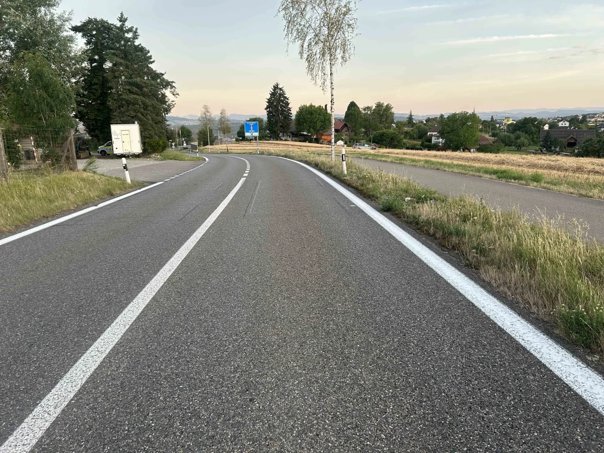 Eine einspurige Straße führt durch ländliches Gebiet mit Bäumen und Feldern, ein Verkehrszeichen steht am Straßenrand.