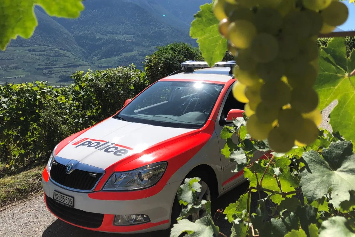 Tipps der Kantonspolizei Wallis - Vom Rebstock sicher in die Weinpresse
