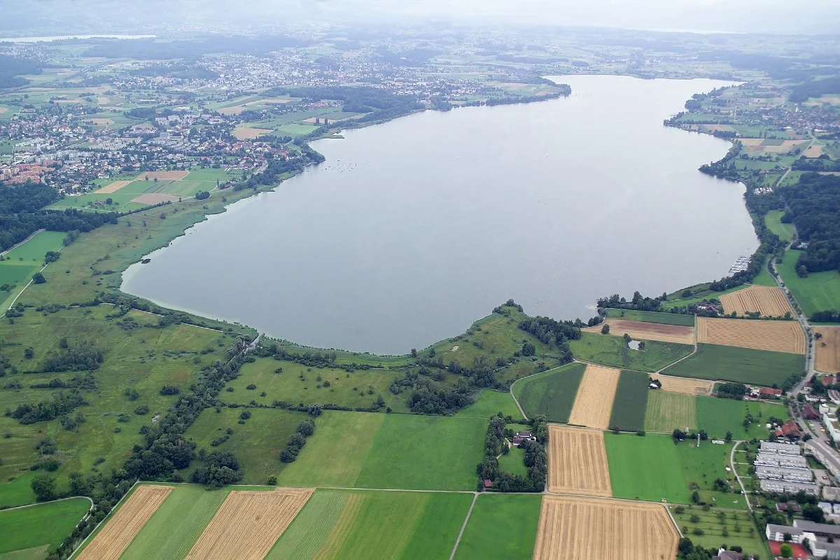 Greifensee und Pfäffikersee ZH – Fischereikontrollen durchgeführt