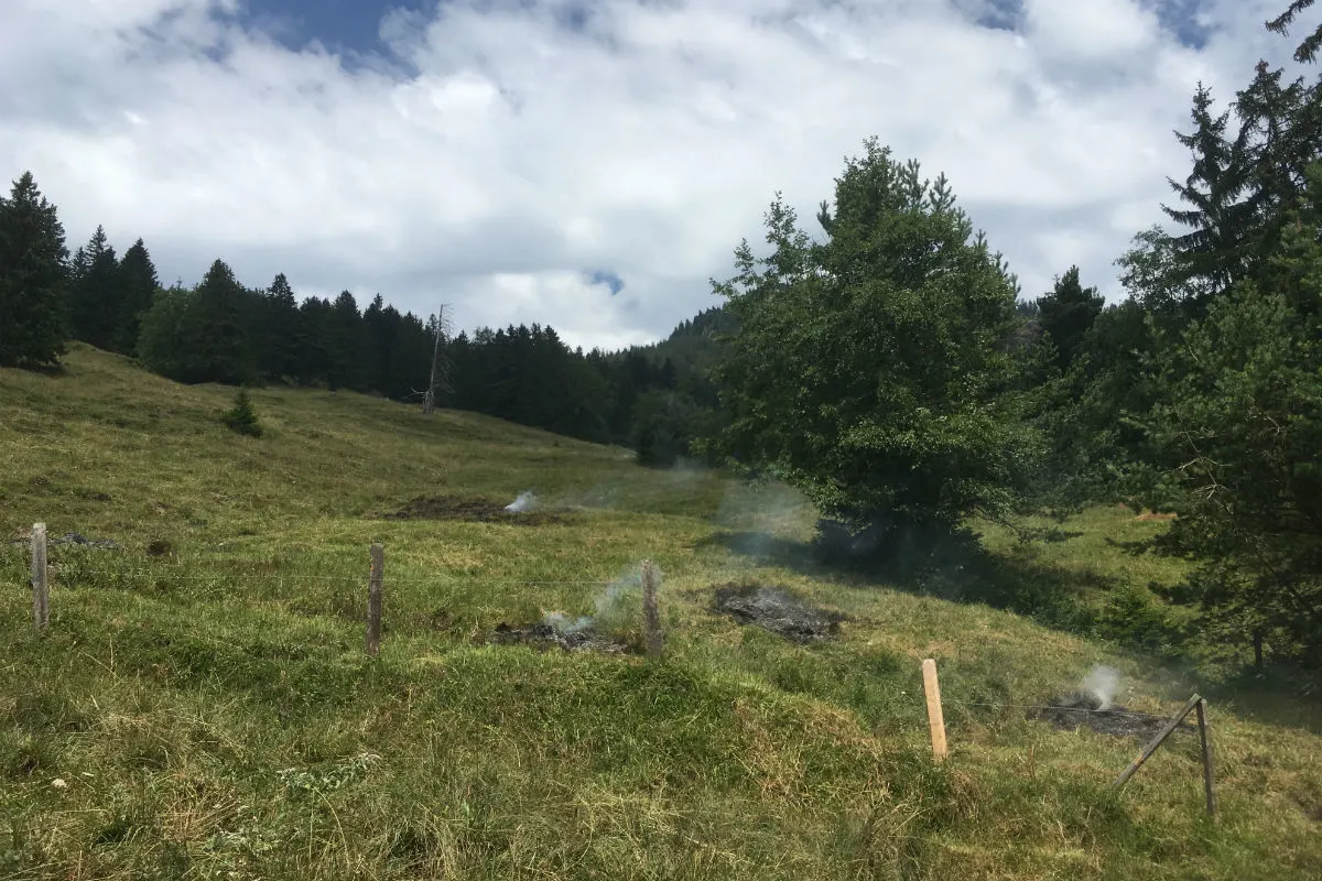 Goldau SZ -  Feuerwehreinsatz am Rossberg 