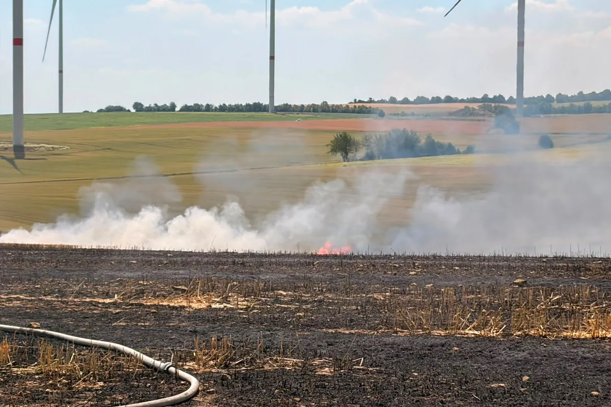 Das Bild zeigt ein abgebranntes Feld mit rauchenden Flammen im Vordergrund und mehreren Windkraftanlagen im Hintergrund.