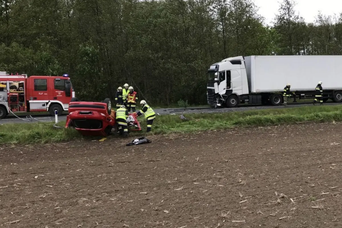Frau und Hund sterben bei Frontalkollision mit Lastwagen