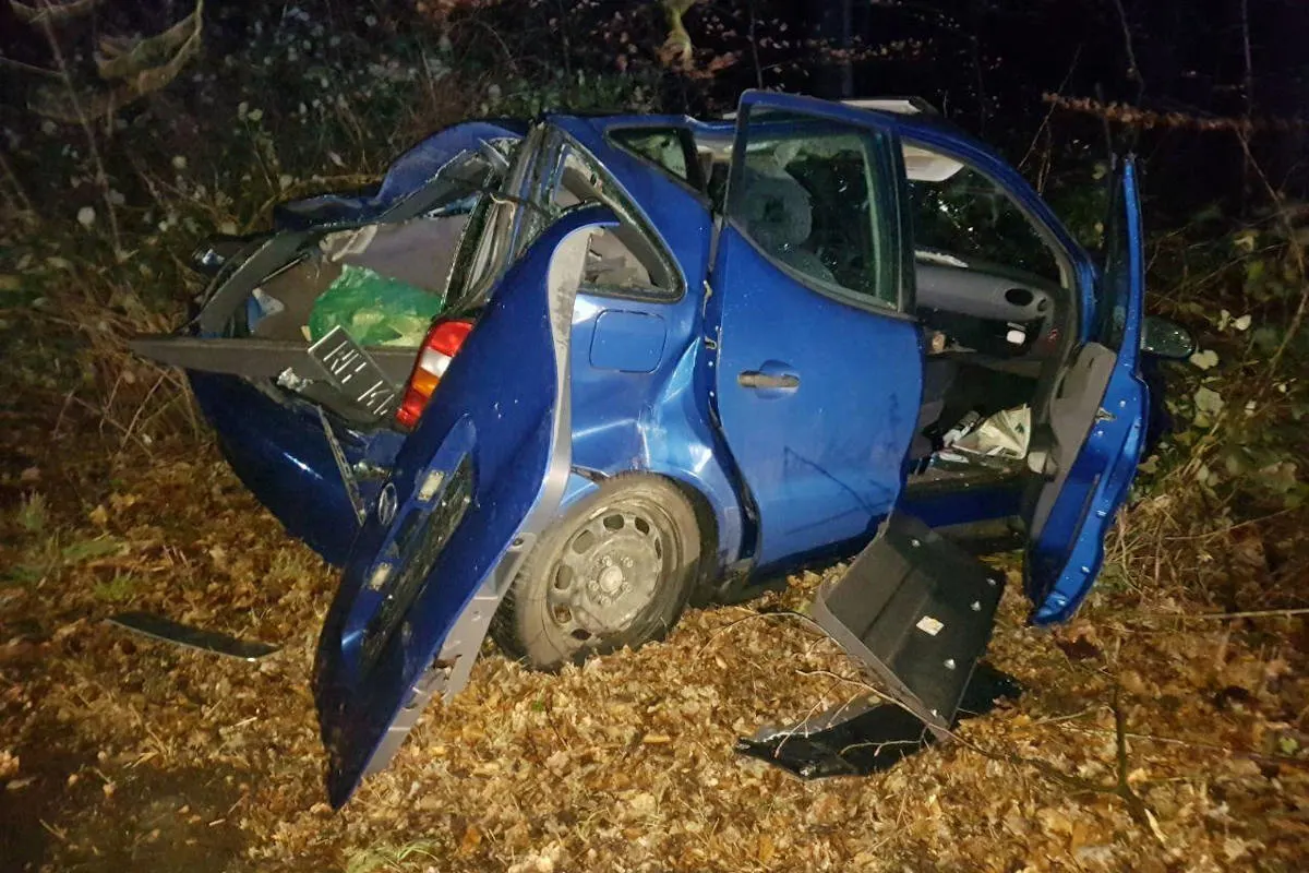 Mülheim an der Ruhr – Baum stürzt auf Auto