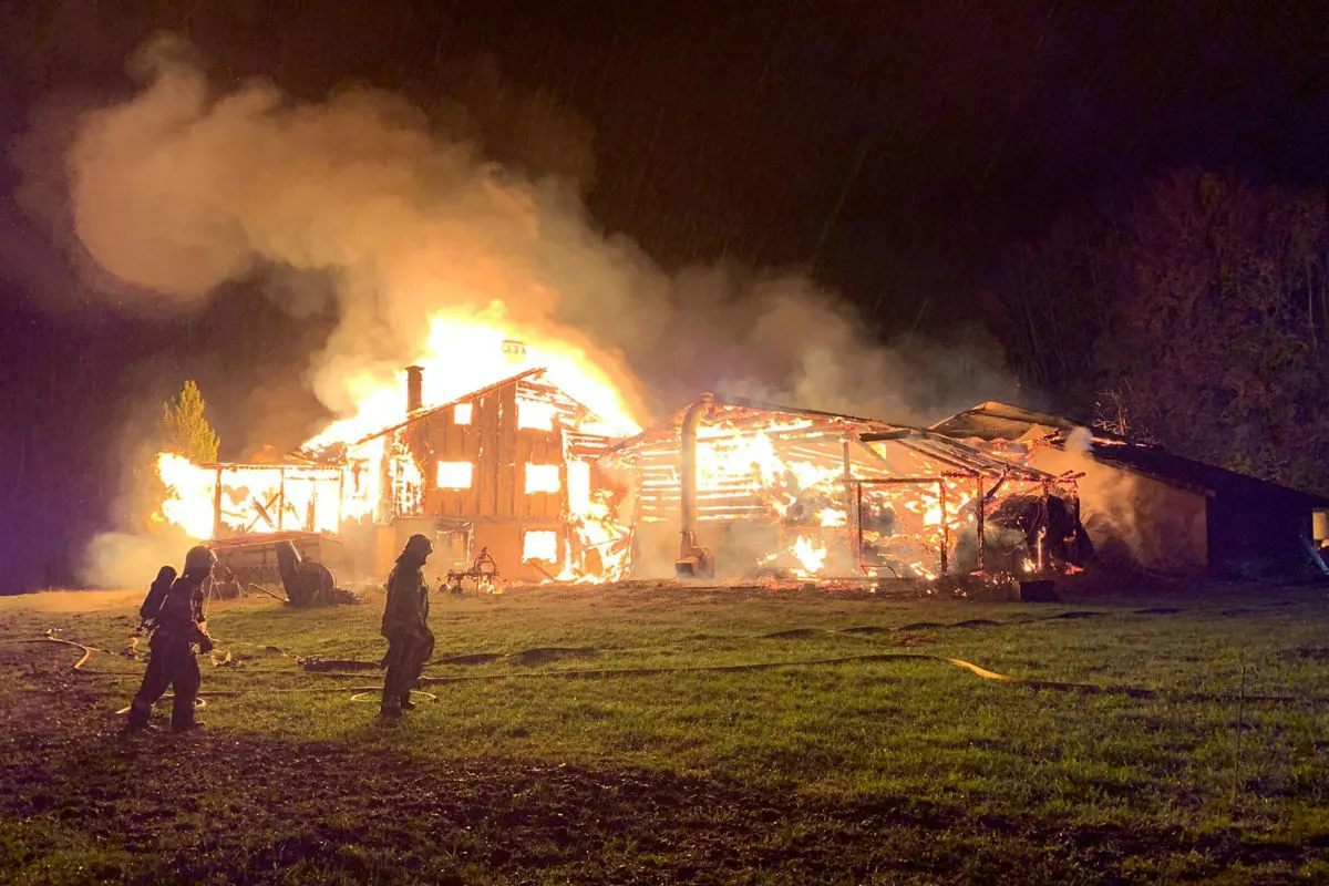 Brand Grüsch GR -  Wohnhaus und Stall abgebrannt - drei Kälber starben in den Flammen