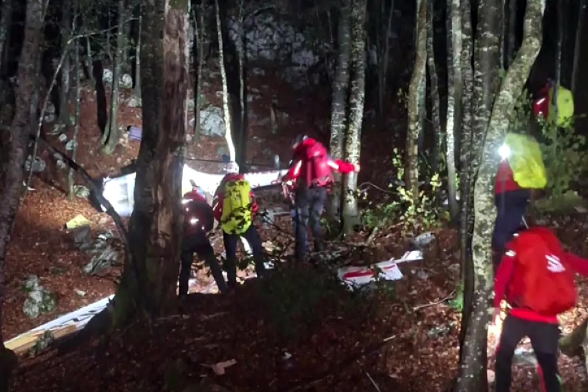 Mehrere Rettungskräfte in roten Jacken suchen nachts in einem dichten Waldstück nach Spuren. Laub bedeckt den Boden.