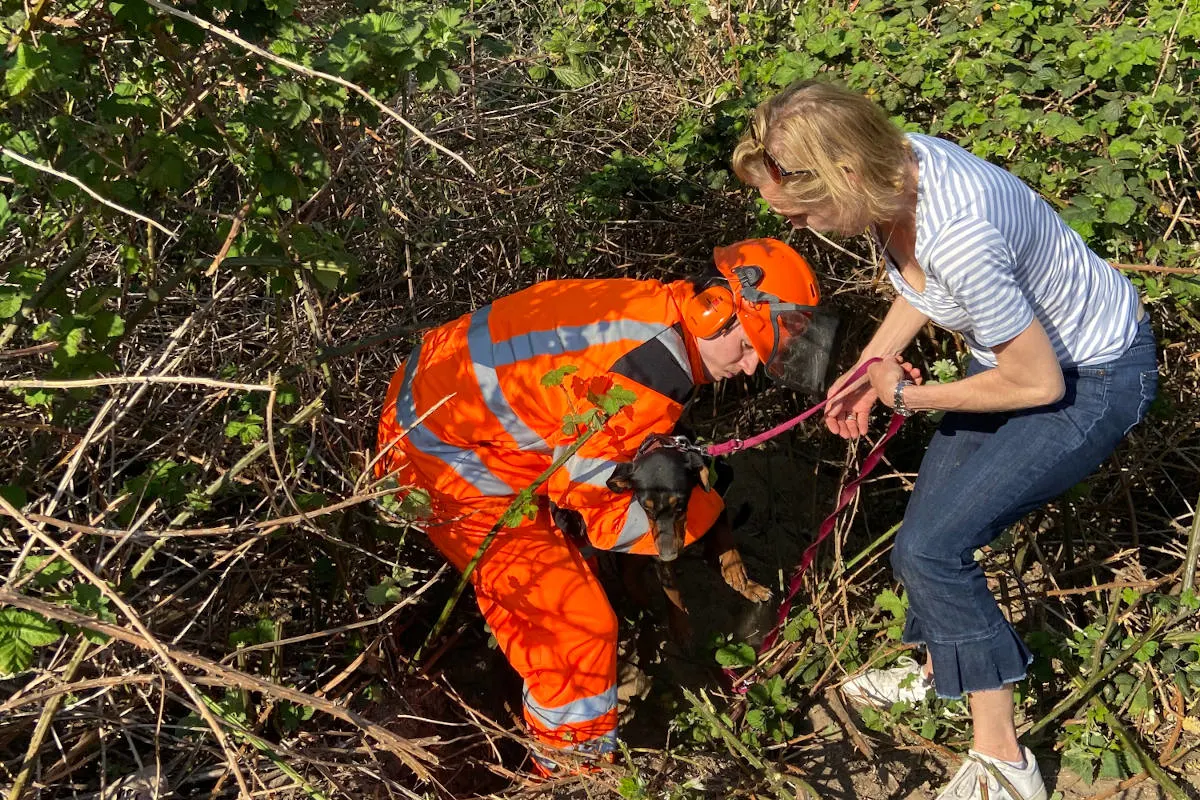 Düsseldorf Lörick – Feuerwehr half bei Suche nach vermisstem Hund