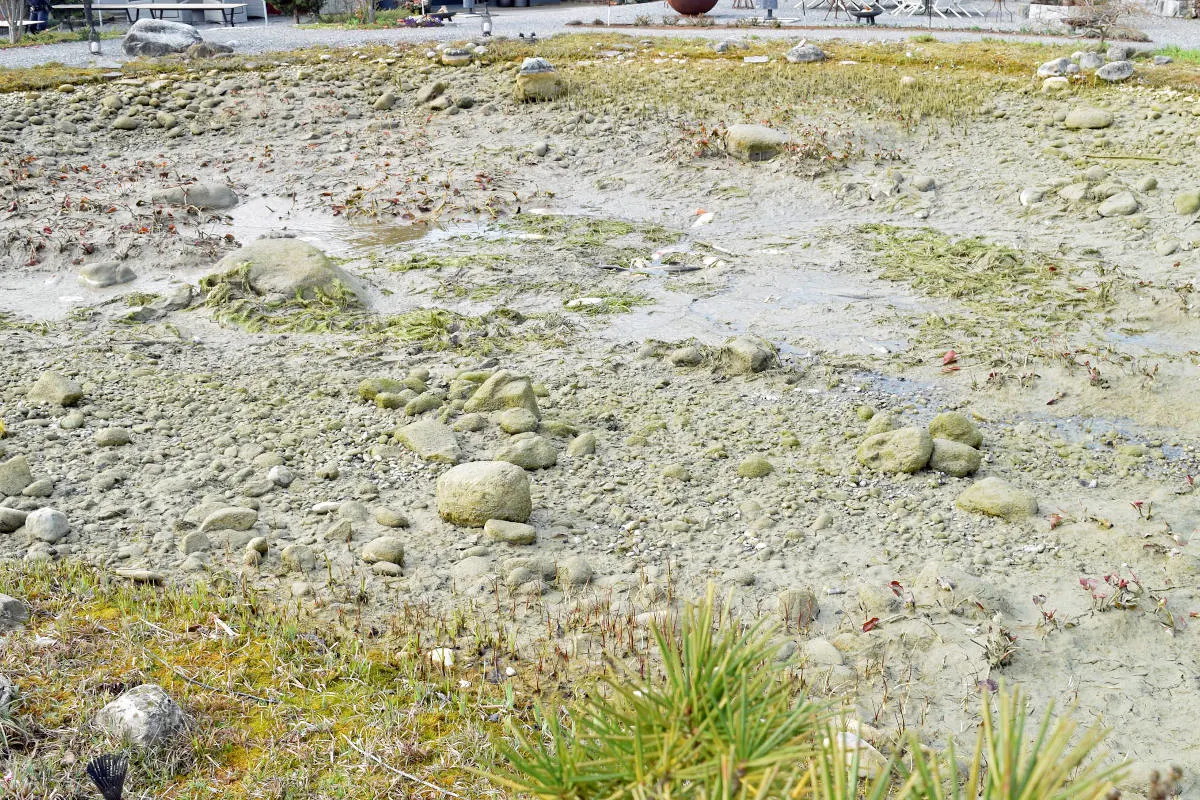 Egolzwil LU – Unbekannte liessen Wasser in Teich ab 