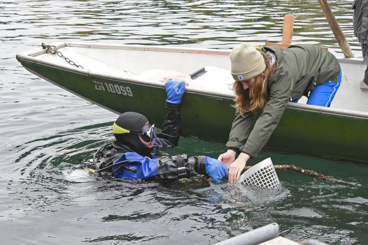 Zürich ZH - Schweisstreibende Arbeit über und unter Wasser