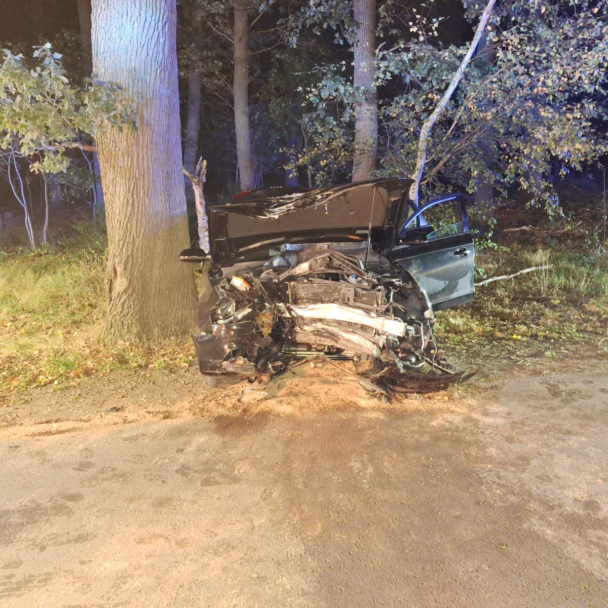 Ein Auto ist frontal beschädigt und gegen einen Baum geprallt. Die Szene spielt bei Nacht auf einer Landstraße in einem bewaldeten Gebiet.