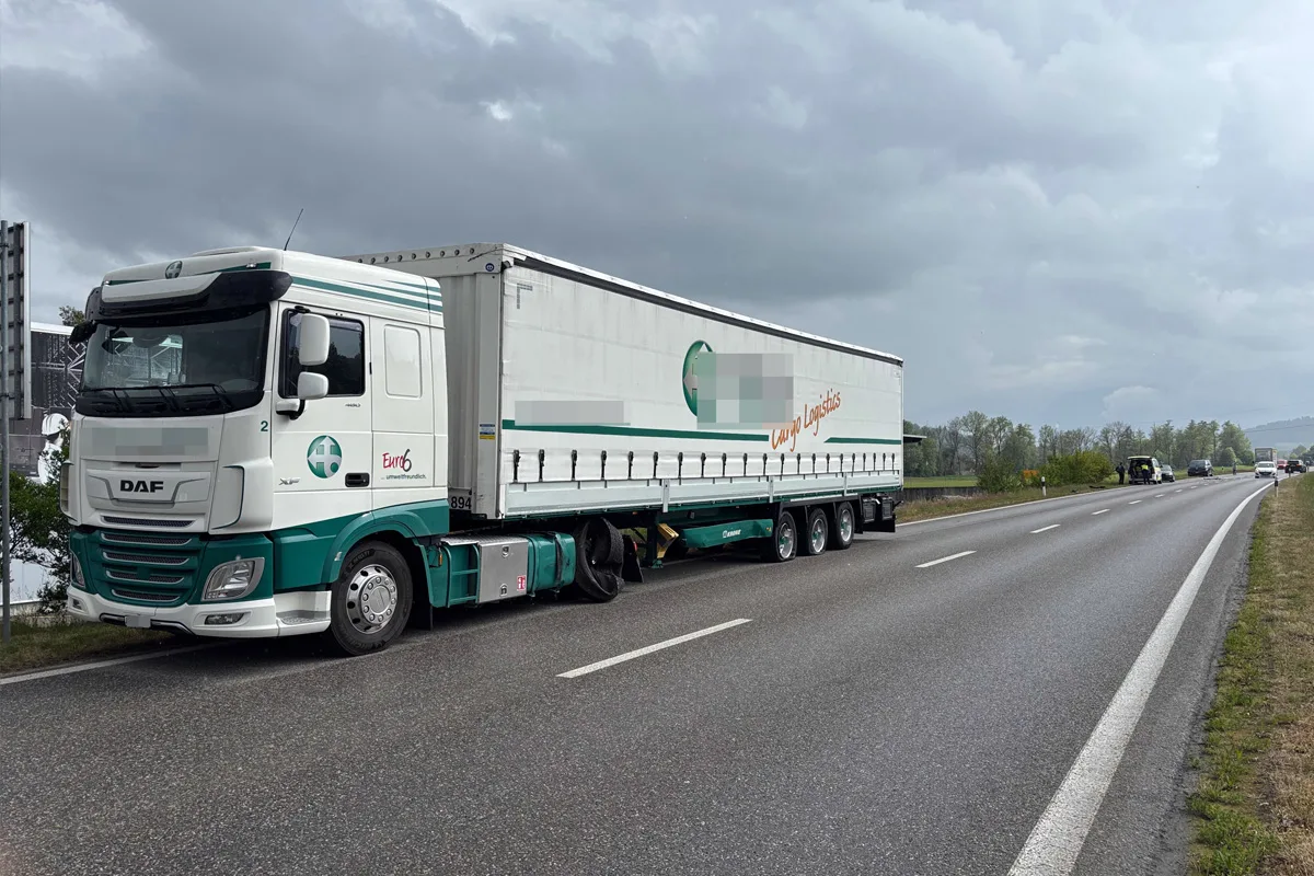 Ein LKW mit grün-weißer Lackierung steht am Straßenrand einer nassen Autobahn. Der Himmel ist bewölkt.