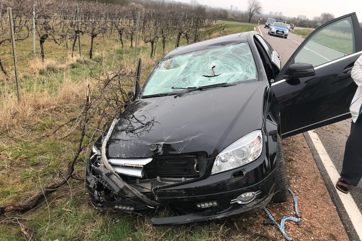 Ingelheim – Trunkenheitsfahrt endet im Weinberg
