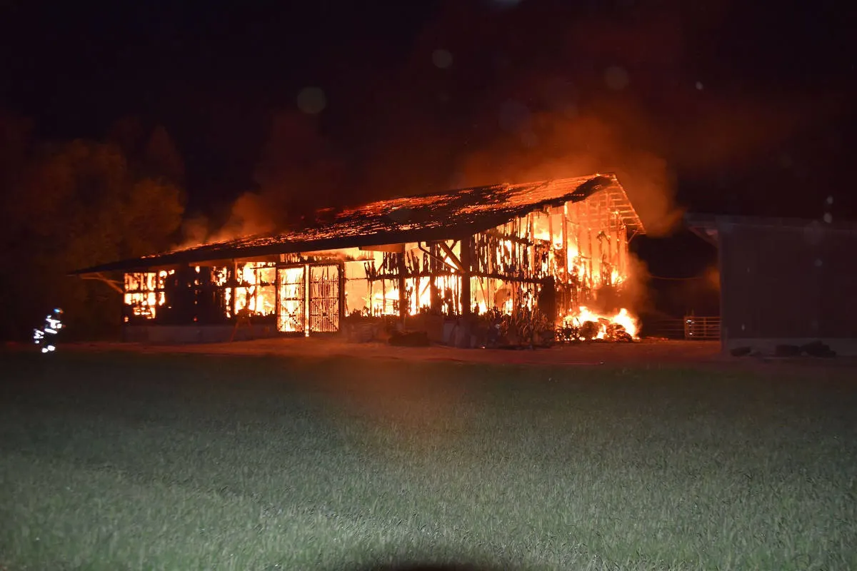 Kriegstetten SO – Futter- und Lagerhalle durch Brand zerstört 