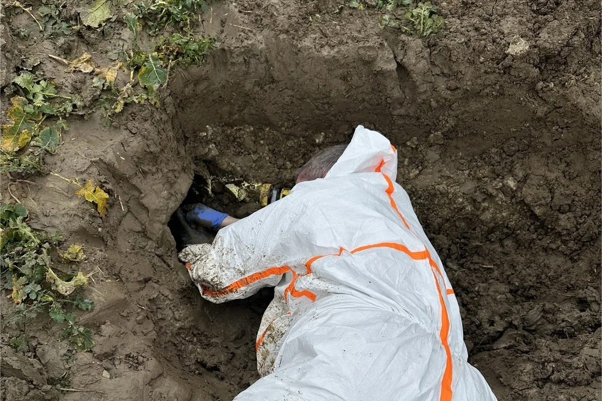 Horn-Bad Meinberg NW - Feuerwehr befreit Dackel aus misslicher Lage