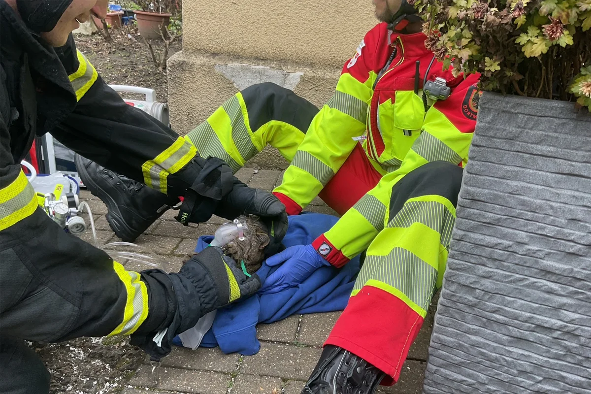 Dortmund – Frau stirbt bei Zimmerbrand in Reihenhaus