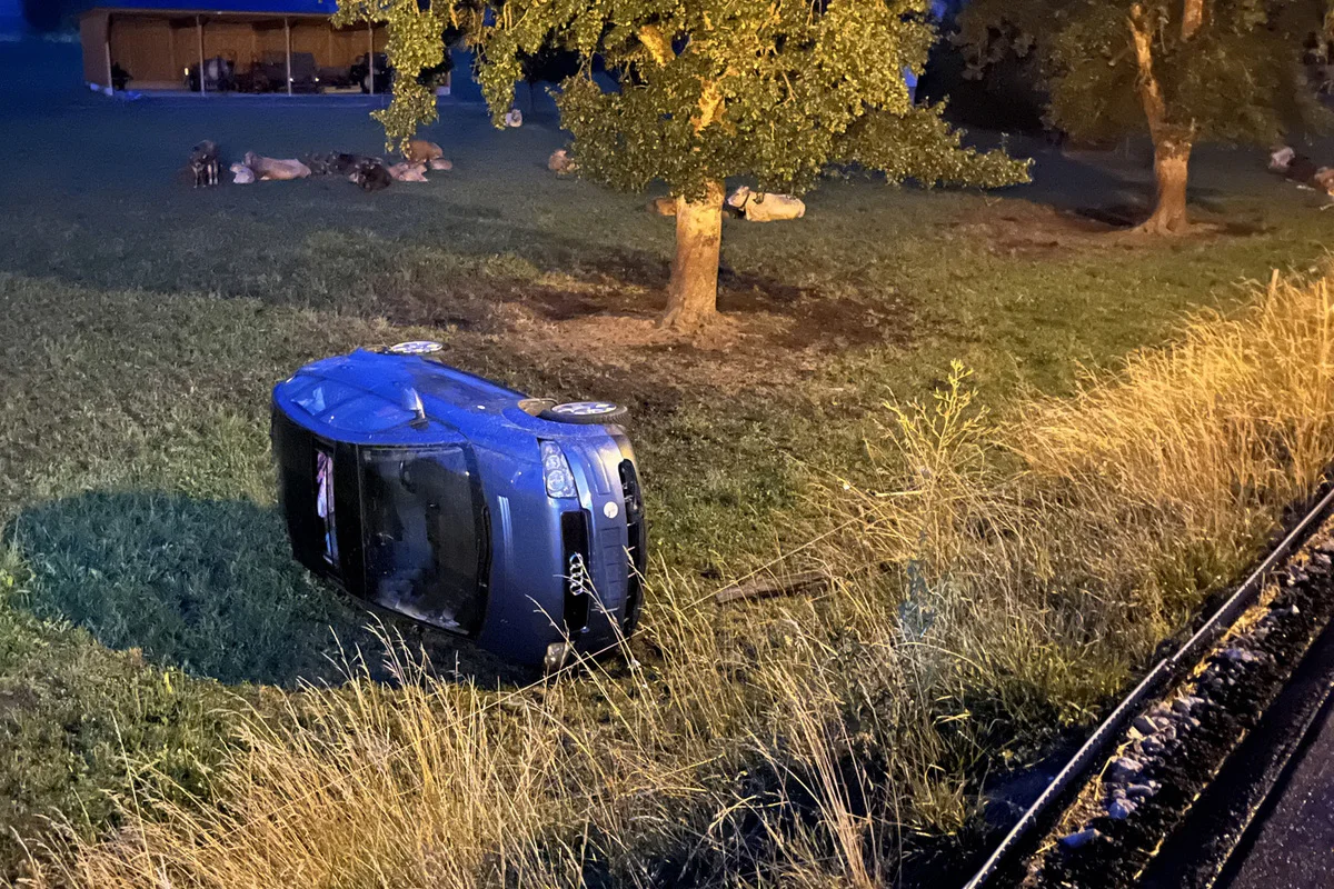 Unfall in Buchs LU - Unter Drogeneinfluss am Steuer eingeschlafen