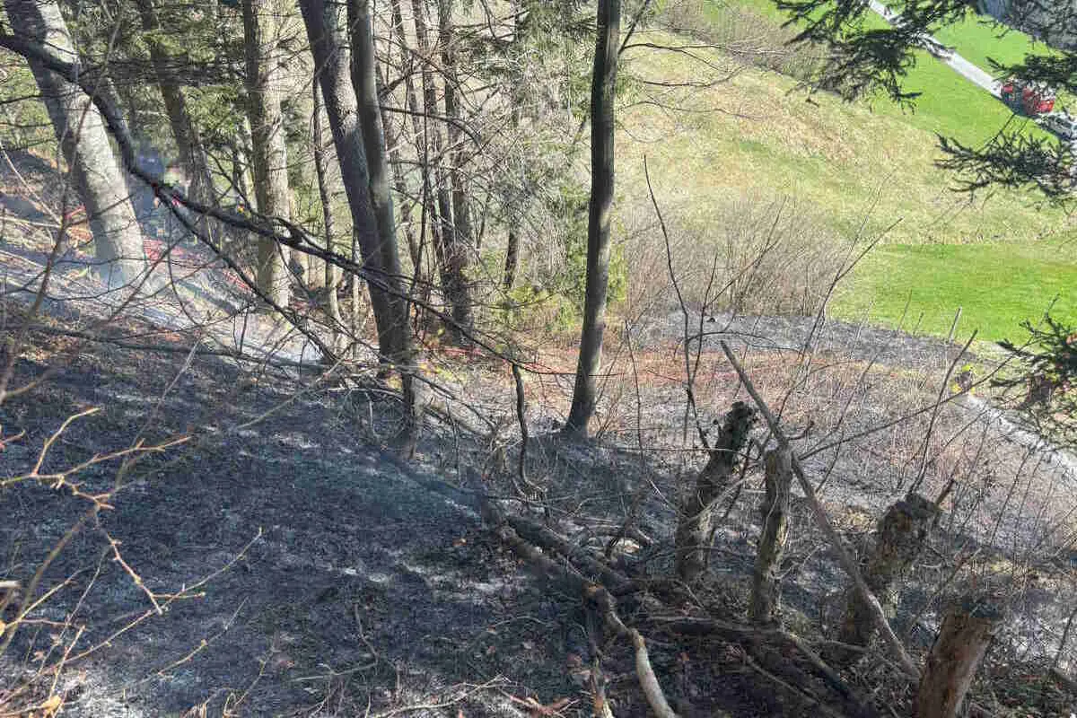 Ebnat-Kappel SG – Waldboden in Brand geraten