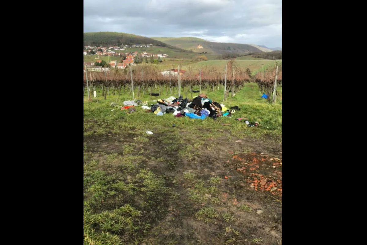 Pleisweiler-Oberhofen - Müll deponiert - Zeugenaufruf