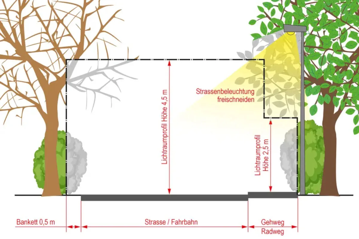 Ein Diagramm zeigt, wie Bäume entlang einer Straße beschnitten werden sollten, um die Straßenbeleuchtung freizuhalten und die vorgeschriebenen Lichtraumprofile einzuhalten.