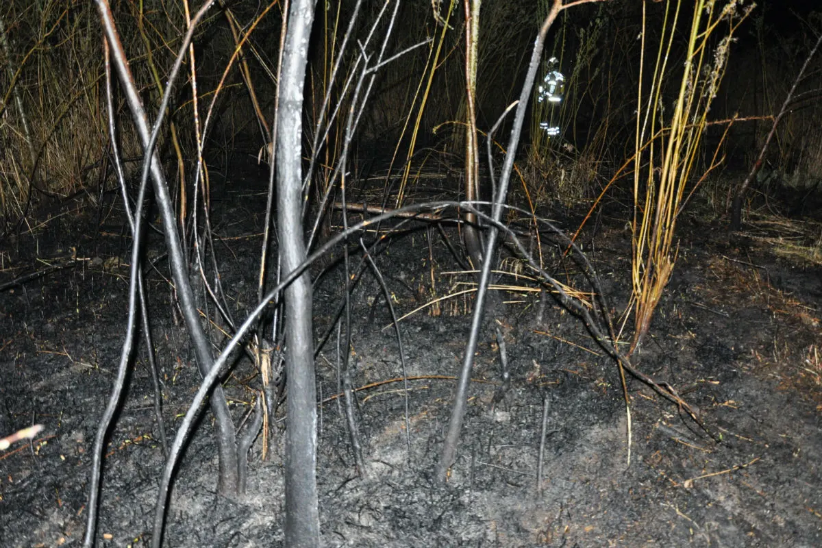Selzach SO - Brand auf dem Aareinseli - Zeugenaufruf