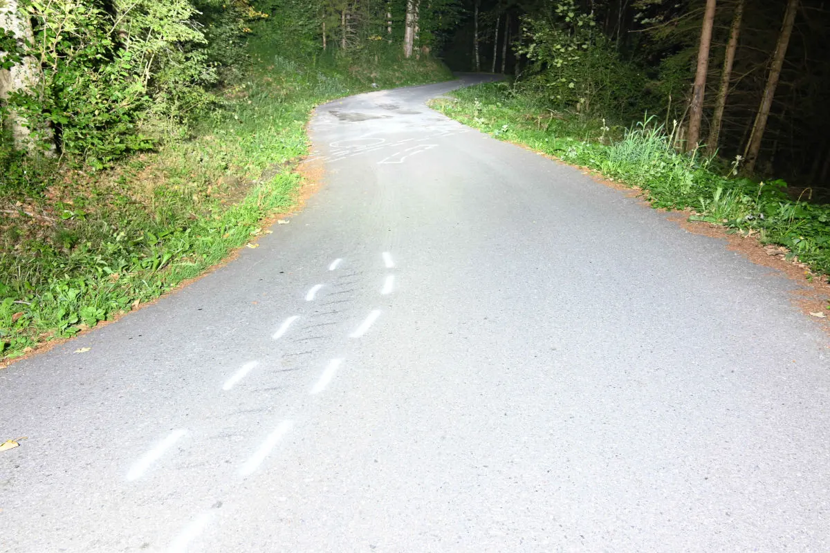 Eine einsame Landstraße in einem Waldgebiet, versehen mit weißen Markierungen auf dem Asphalt; es ist Nacht.