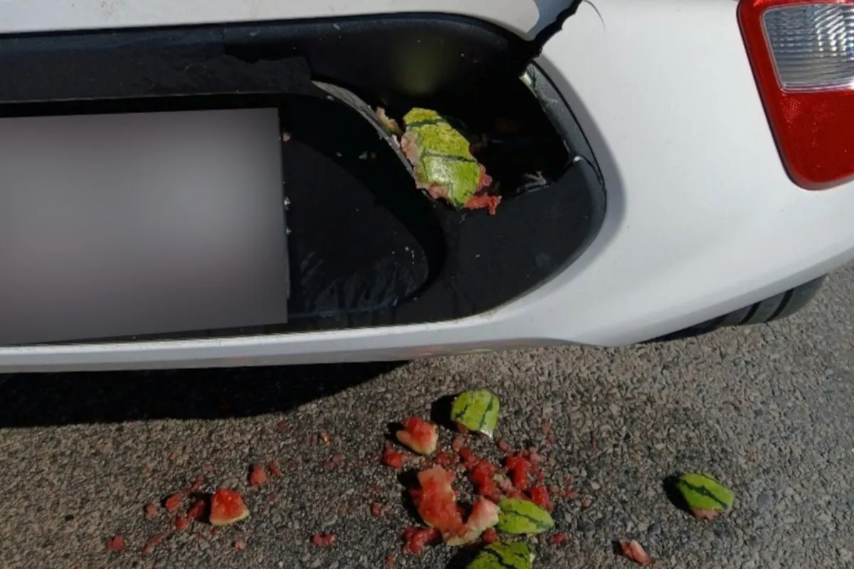 Das Bild zeigt einen beschädigten Kotflügel eines weißen Autos. Auf dem Boden liegen zerschmetterte Stücke einer Melone, die teilweise im Stoßfänger stecken.