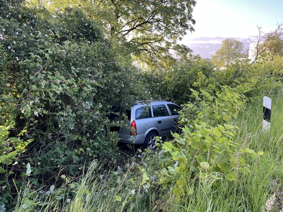 Ein silbernes Auto ist im Gebüsch neben der Straße abseits der üblichen Fahrbahn zu sehen. Das Fahrzeug ist von Pflanzen und Bäumen umsäumt und offenbar von der Straße abgekommen.