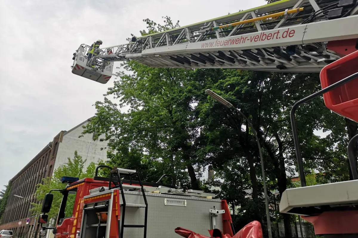 Feuerwehr rettet zwei Küken