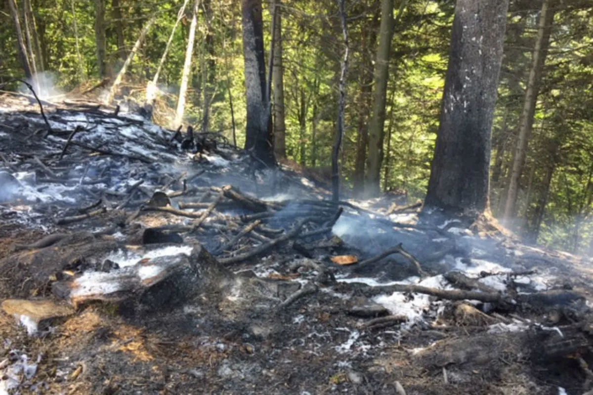 Escholzmatt-Marbach LU - Flurbrand nahe des Waldes - Zeugenaufruf