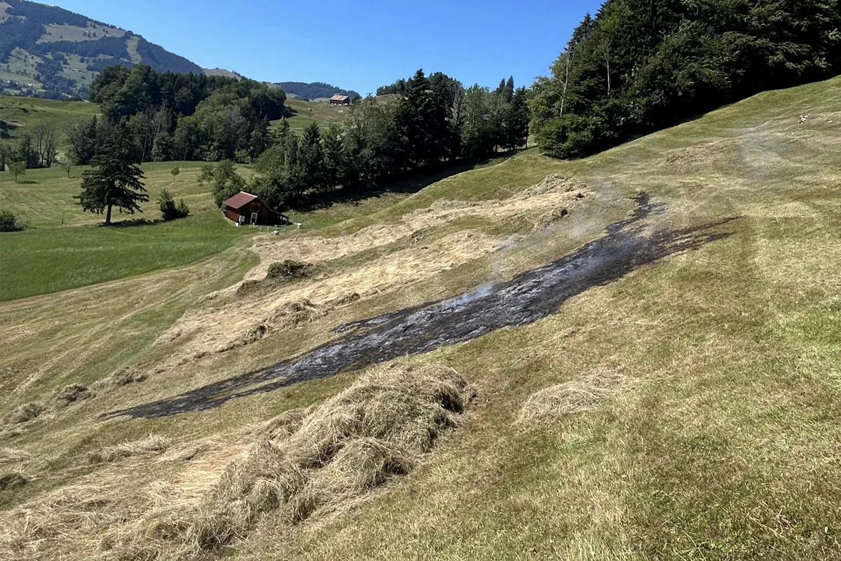 Eine verbrannte, schwarze Schneise zieht sich über eine Wiese in einer hügeligen, grünen Landschaft. Im Hintergrund sind Bäume und ein kleines Haus sichtbar unter klarem, blauem Himmel.