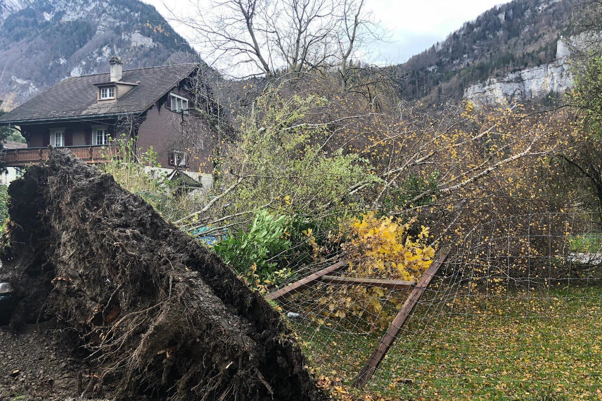 Näfels GL - Auswirkungen des Föhnsturms