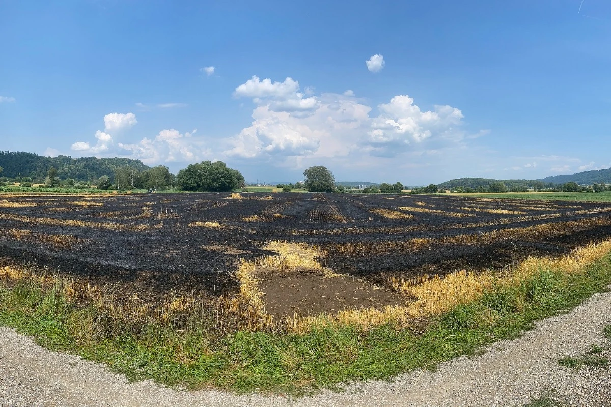 Feuerwehreinsatz in Ramsen SH - Gerstenfeld abgebrannt